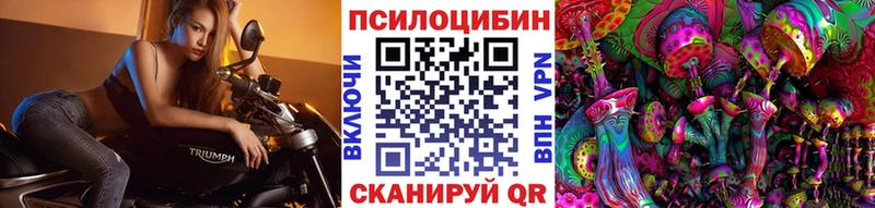 Псилоцибиновые грибы мицелий  цены наркотик  mega ссылки  Вятские Поляны 